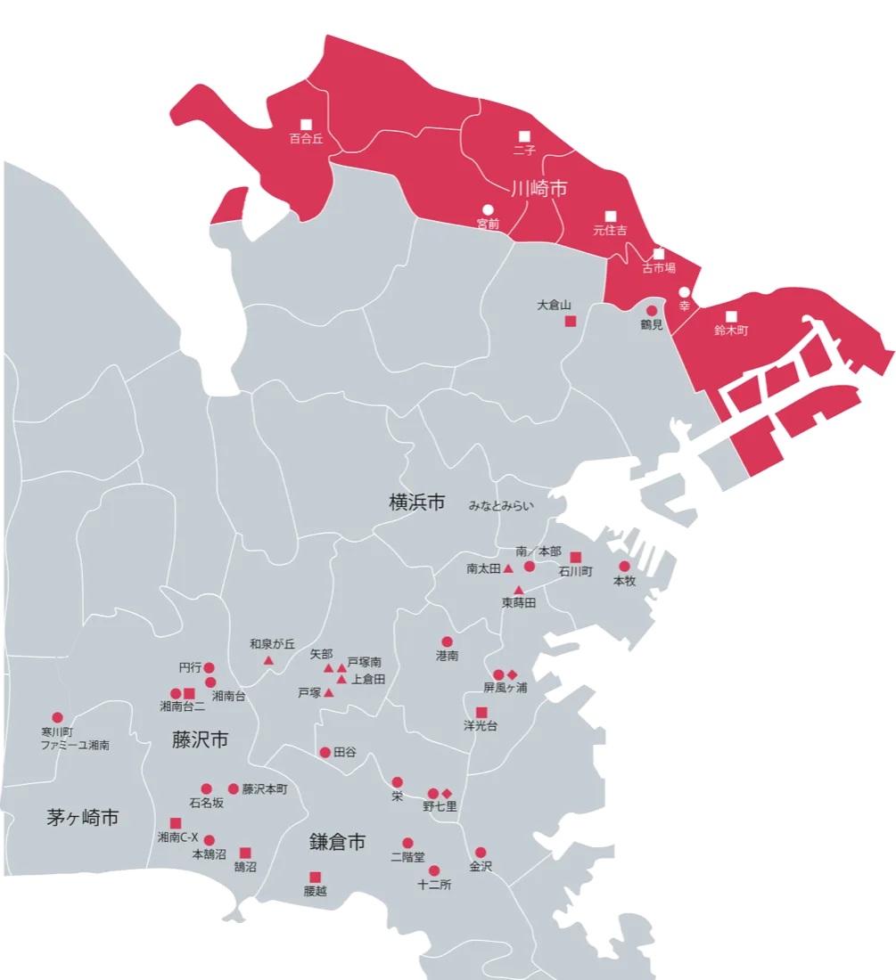 Reference visual for organizing Japan care-system and local coordination steps